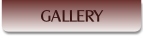 GALLERY.